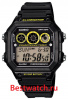Casio Collection AE-1300WH-1A