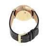 Skagen Leather SKW6217