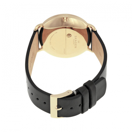 Skagen Leather SKW6217