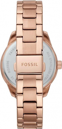 Fossil Dayle BQ3599