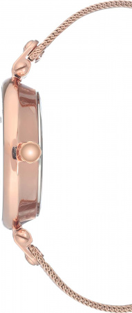 Anne Klein Crystal 3000BYRG