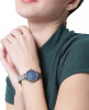 Skagen Mesh SKW2862