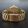 Diesel Rasp DZ1761