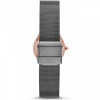 Skagen Mesh SKW2270