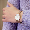 Skagen Mesh SKW2401