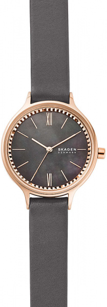 Skagen Leather SKW2909