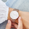 Skagen Mesh SKW2784