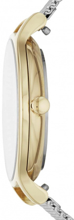 Skagen Mesh SKW2866