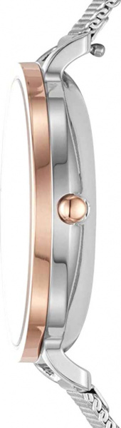 Skagen Mesh SKW2662