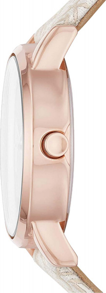 DKNY Soho NY2887