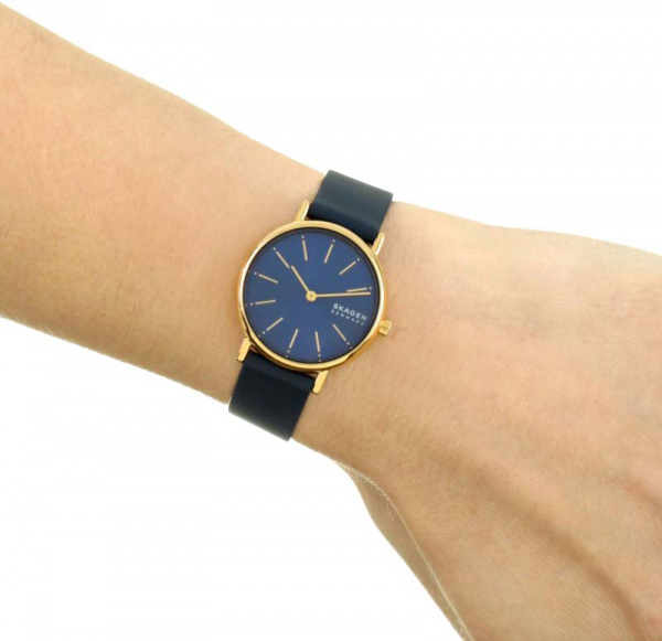 Skagen Signature SKW2867