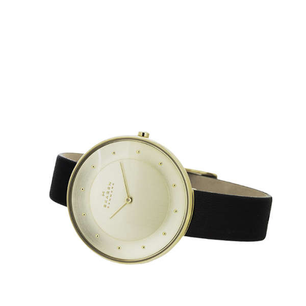 Skagen Leather SKW2262