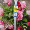 Q&Q Casual VP47-037