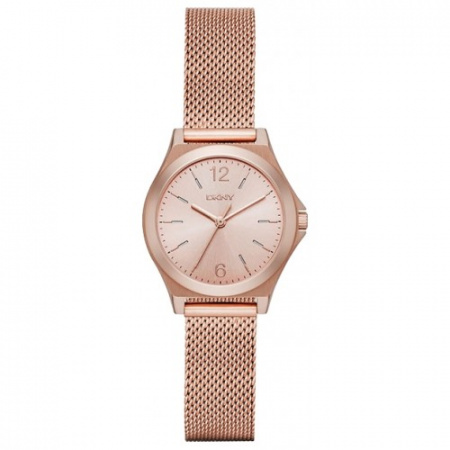 DKNY  NY2489