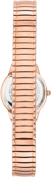 Anne Klein Daily 3800PMRG