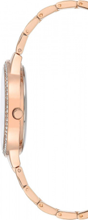 Anne Klein Crystal 3816MPRG