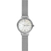 Skagen Mesh SKW2966