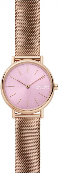 Skagen Mesh SKW2975