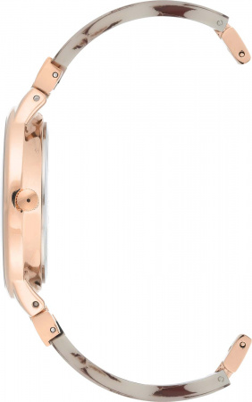 Anne Klein Plastic 1408TNRG