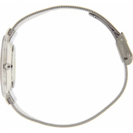 Skagen Mesh Classic 355LGSC