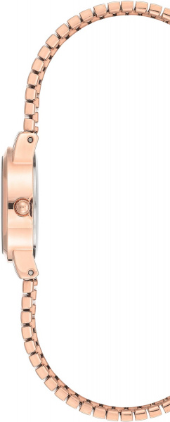Anne Klein Daily 3800PMRG