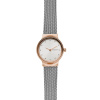 Skagen Mesh SKW2716