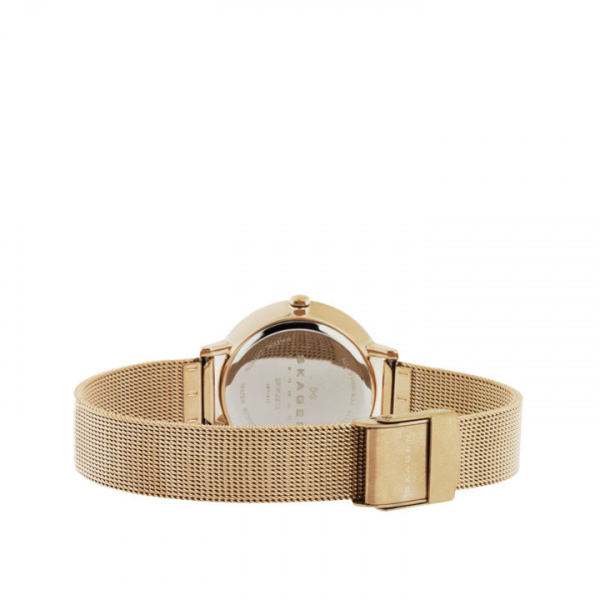 Skagen Mesh SKW2213