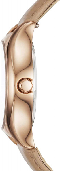 Fossil Daydreamer BQ1596IE