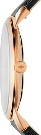 Fossil The Minimalist FS5376