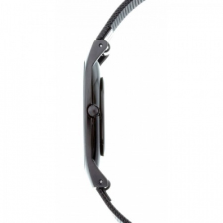 Skagen Titanium 233LTMB