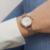 Skagen Mesh SKW2865