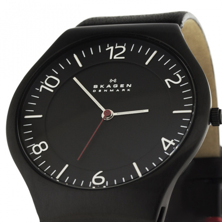 Skagen Leather SKW6113